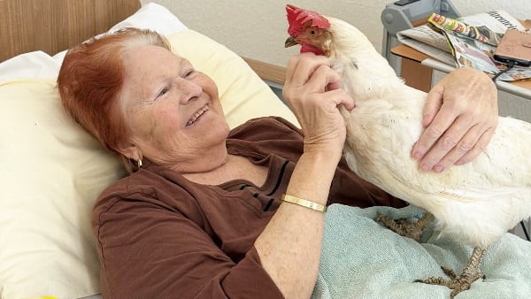 Ziemlich beste Freunde sind Perla das Huhn und Bonmonde-Bewohnerin Editha Brauns.